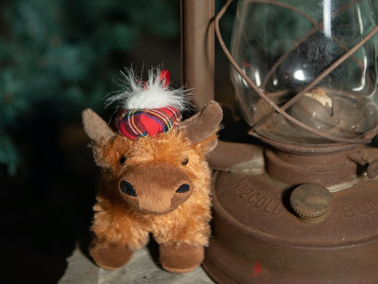 SuttonsRidgeBath2MeaganWanschura Plush Highland cow wearing a colorful hat, positioned next to a vintage oil lantern, with a blurred backdrop of greenery.